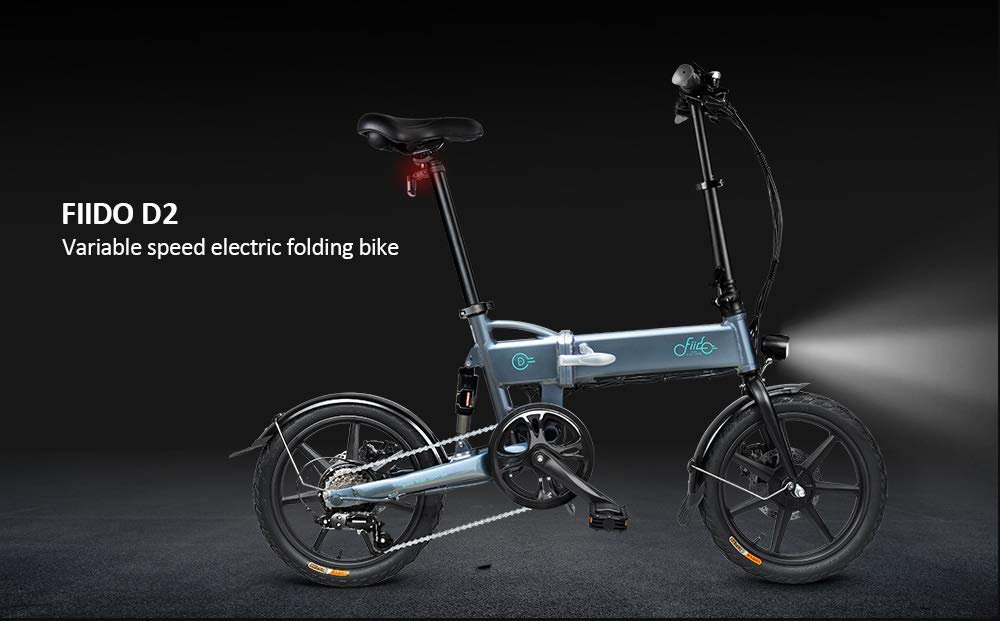 FIIDO D2s Variable Speed Electric Folding Bike e bikes PET